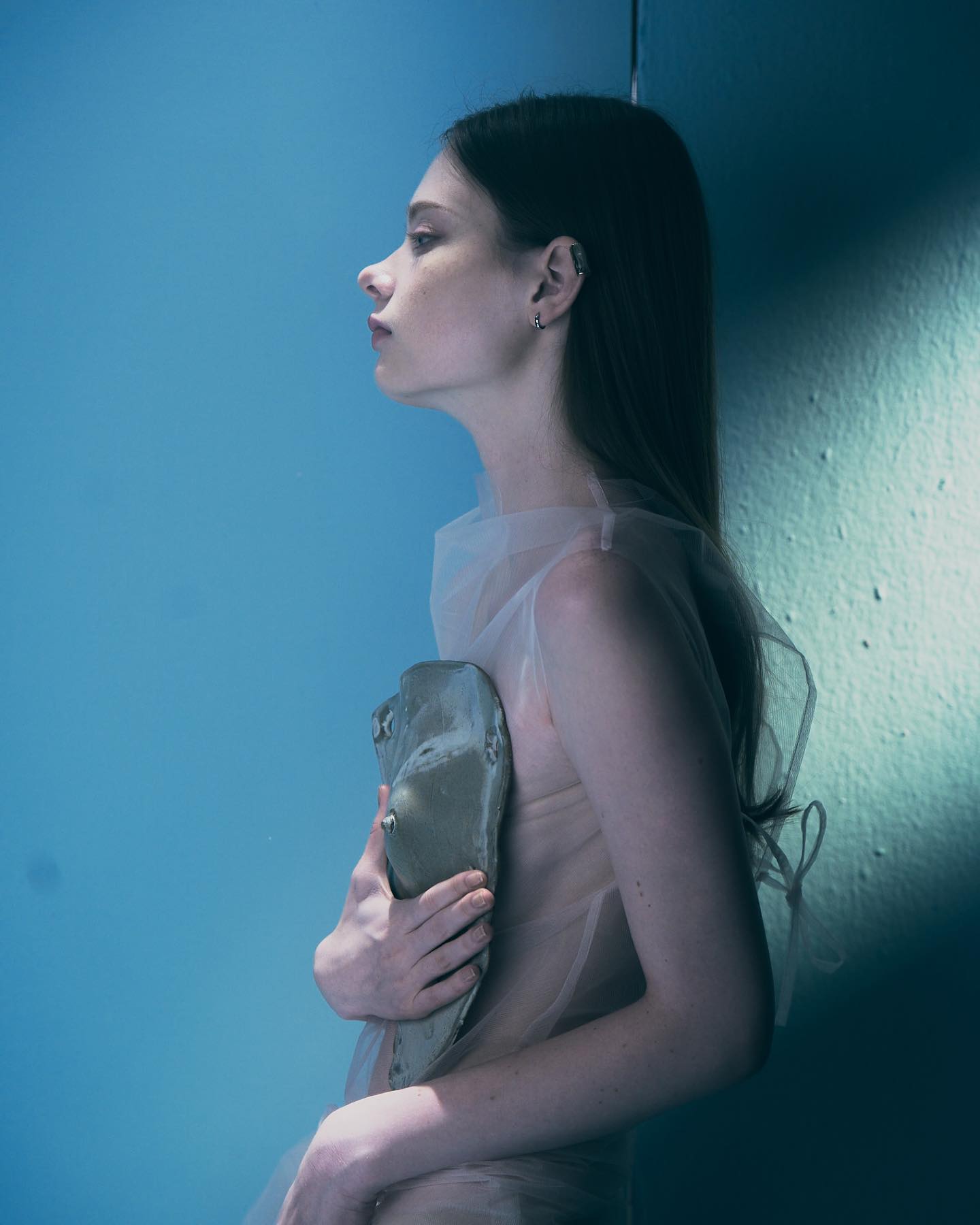 IRI FARLEY model portfolio